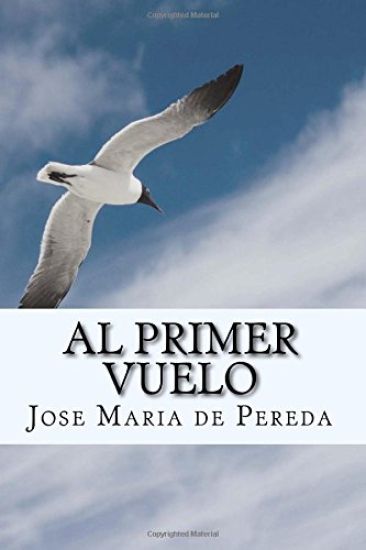 Al Primer Vuelo (Spanish) Edition