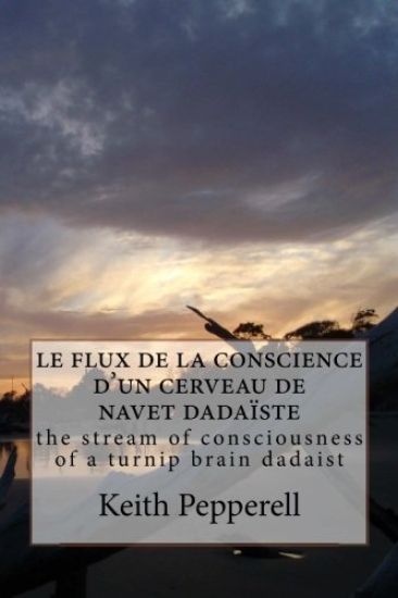 le flux de la conscience d'un cerveau de navet dadaïste: the stream of consciousness of a turnip brain dadaist