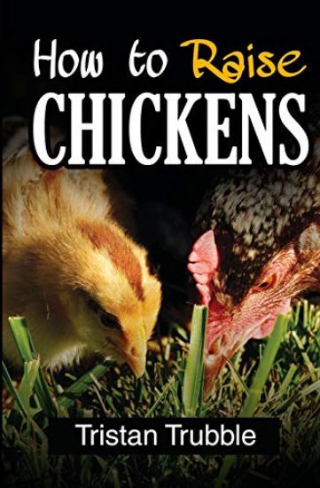 How To Raise a Chicken