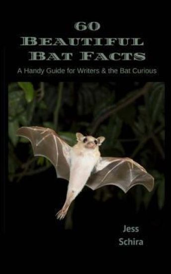 60 Beautiful Bat Facts: A Handy Guide for Writers & the Bat Curious