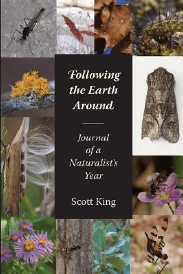 Following the Earth Around