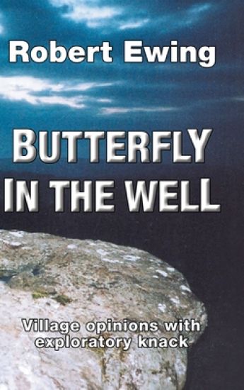 Butterfly in the Well