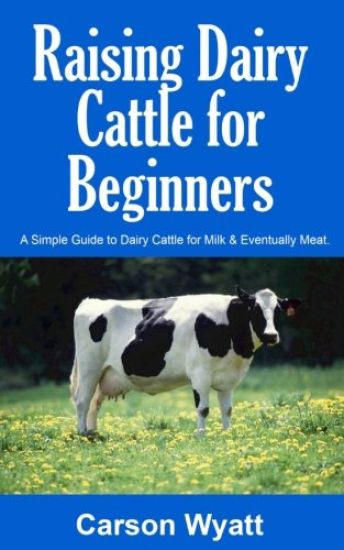 Raising Dairy Cattle for Beginners