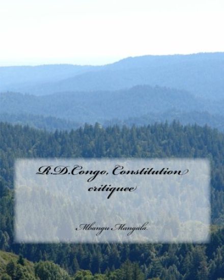 R.D.Congo, Constitution critiquee: Critiques de la constitution