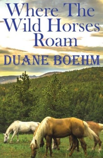 Where The Wild Horses Roam