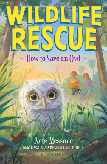 How to Save an Owl