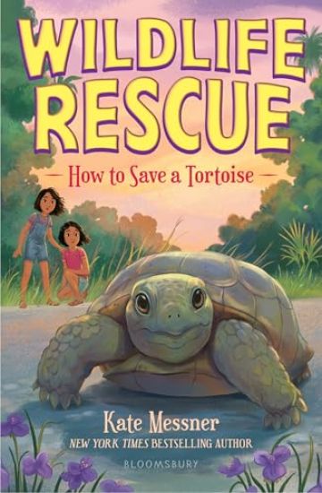 How to Save a Tortoise