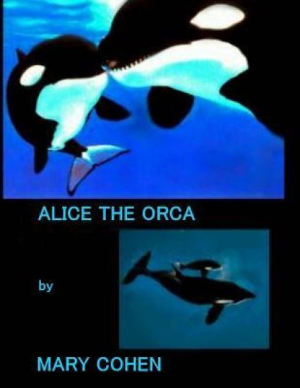Alice the Orca