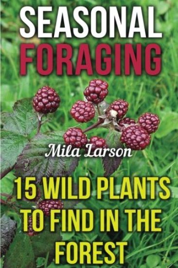 Seasonal Foraging: 15 Wild Plants To Find In The Forest