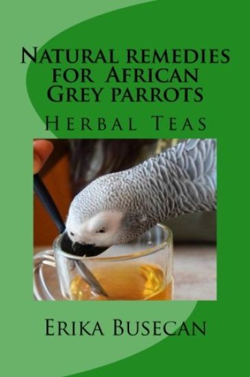 Natural remedies for African Grey parrots: Herbal Teas
