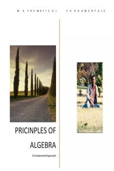 Principles of Algebra: A Fundamental Approach