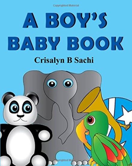 A Boy's Baby Book