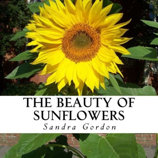 The Beauty of Sunflowers: A text-free book for Seniors and Alzheimer's patients