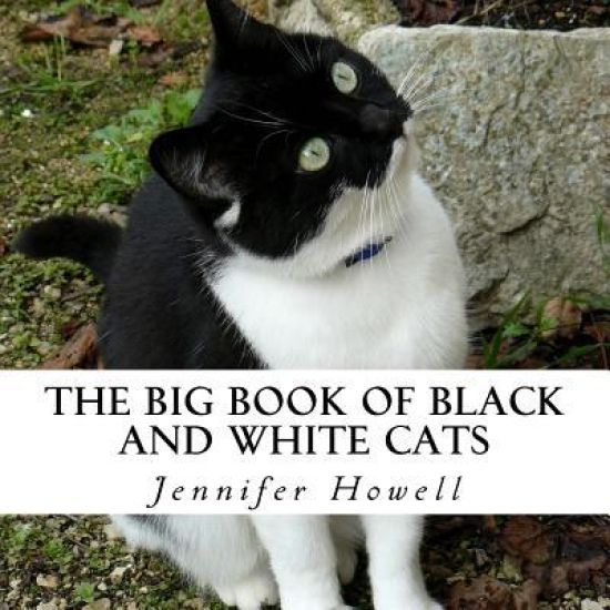 The Big Book of Black and White Cats: A text-free book for Seniors and Alzheimer's patients