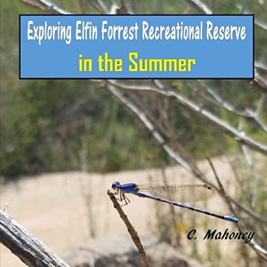 Exploring Elfin Forrest Recreational Reserve in the Summer