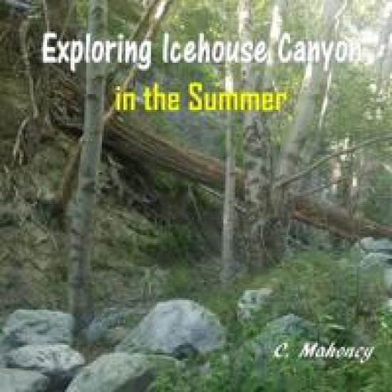 Exploring Icehouse Canyon in the Summer