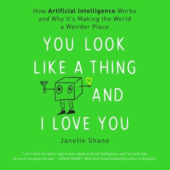 You Look Like a Thing and I Love You Lib/E: How Artificial Intelligence Works and Why It's Making the World a Weirder Place