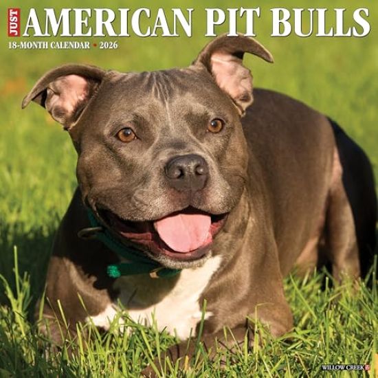 American Pit Bull Terriers 2026 Wall Calendar