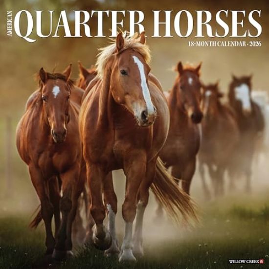 American Quarter Horses 2026 Wall Calendar