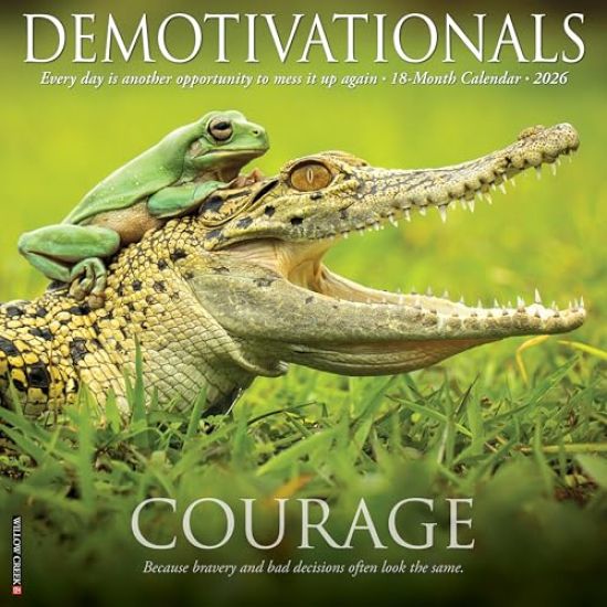 Demotivationals 2026 12 X 12 Wall Calendar