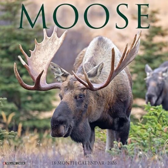Moose 2026 Wall Calendar