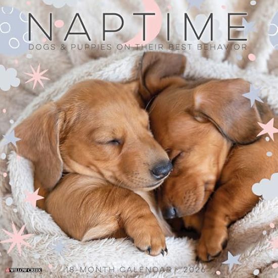 Naptime: Dogs & Puppies on Their Best Behavior 2026 Wall Calendar