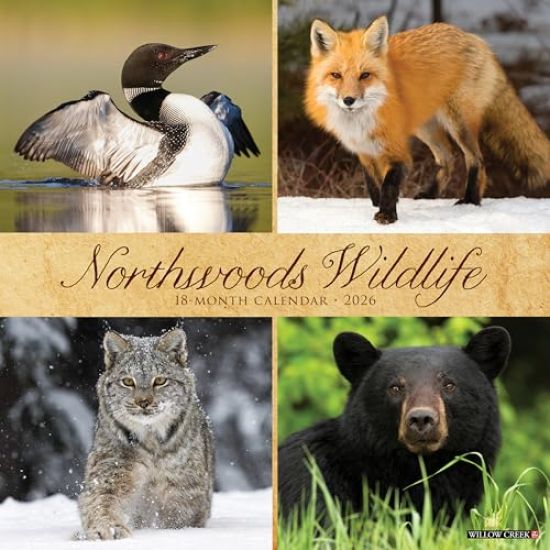 Northwoods Wildlife 2026 Wall Calendar