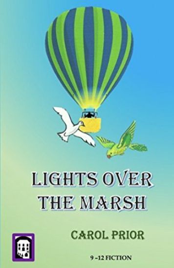 Lights Over The Marsh