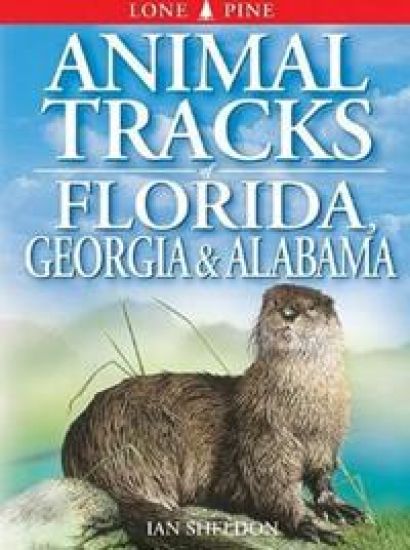 Animal Tracks of Florida, Georgia and Alabama