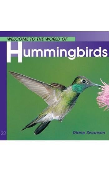 Welcome to the World of Hummingbirds