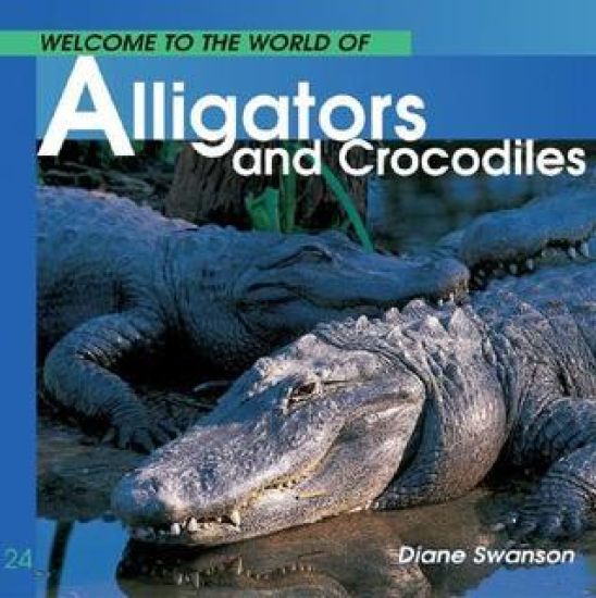 Welcome to the World of Alligators and Crocodiles