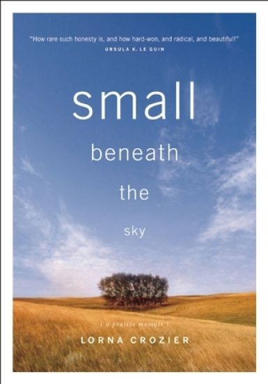 Small Beneath the Sky