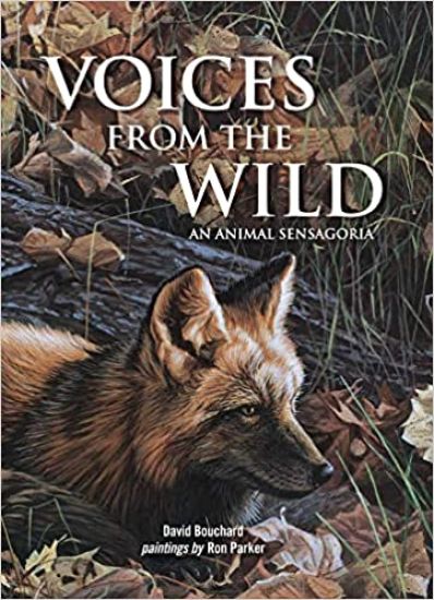 Voices from the Wild: An Animal Sensagoria
