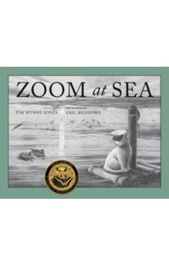 Zoom at Sea