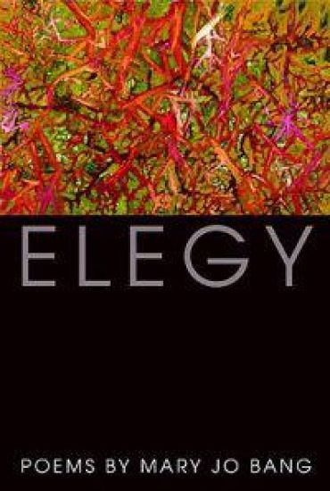 Elegy