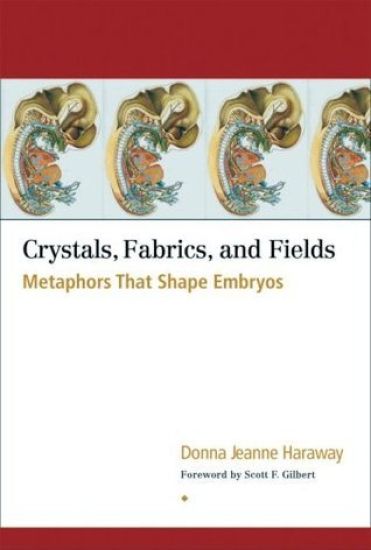 Crystals, Fabrics, and Fields
