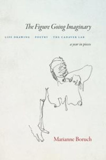 The Figure Going Imaginary