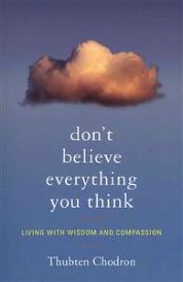 Don't Believe Everything You Think