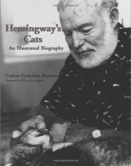 Hemingway's Cats