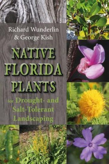 Native Florida Plants for Drought- and Salt-Tolerant Landscaping