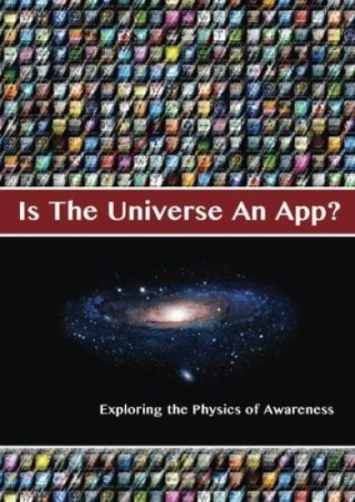 Is The Universe An App? Exploring the Physics of Awareness