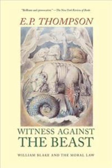 Witness Against the Beast