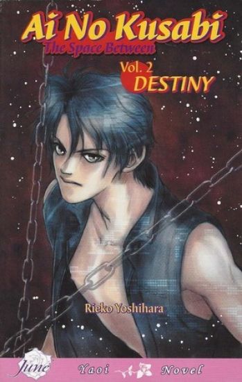 Ai No Kusabi The Space Between Volume 2: Destiny (Yaoi Novel)