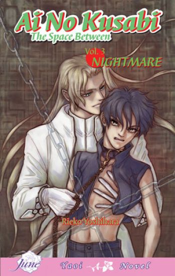 Ai No Kusabi The Space Between Volume 3: Nightmare (Yaoi Novel)
