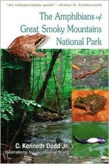 Amphibians Of Great Smoky Mountains