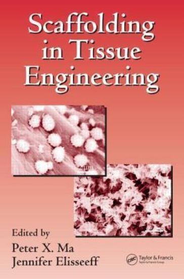Scaffolding In Tissue Engineering