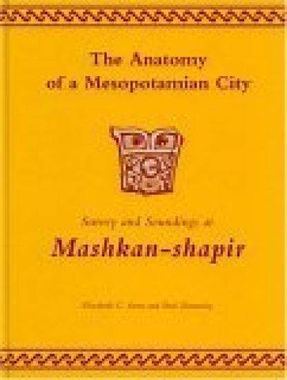 The Anatomy of a Mesopotamian City