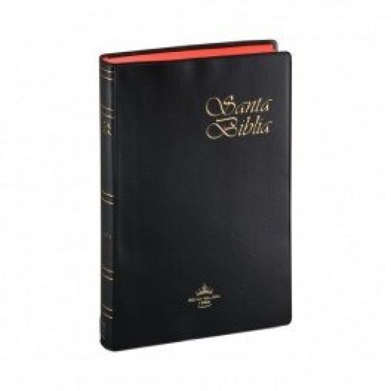 SPANISH REINA VALERA BIBLE