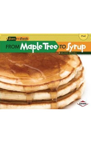 From Maple Tree to Syrup