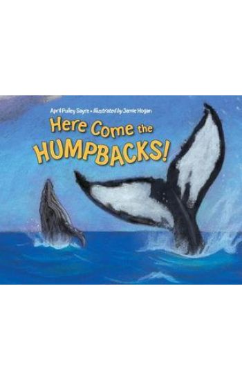 Here Come the Humpbacks!